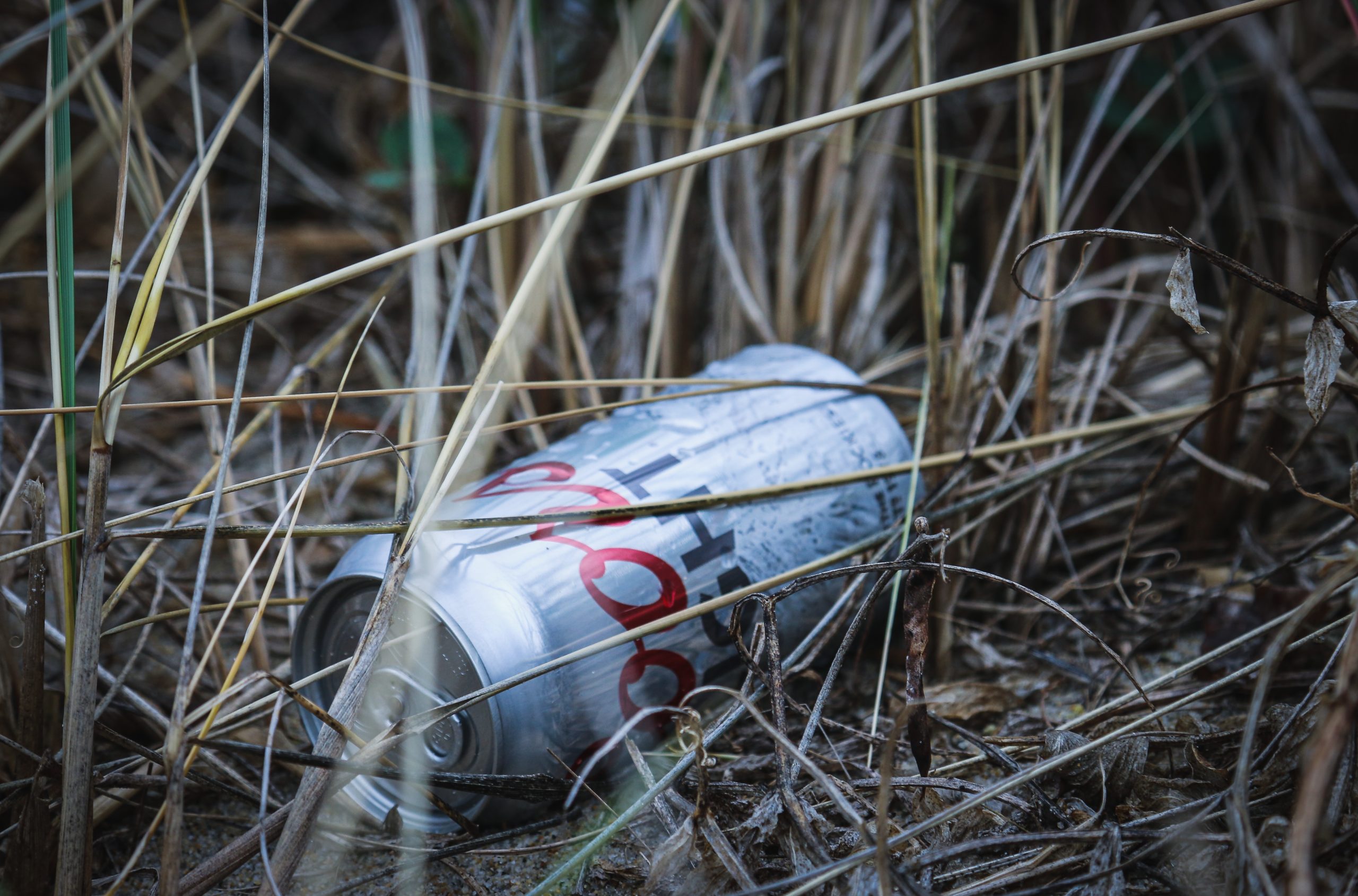 Müll im Gras, Foto Von Brian Yurasits auf Unsplash